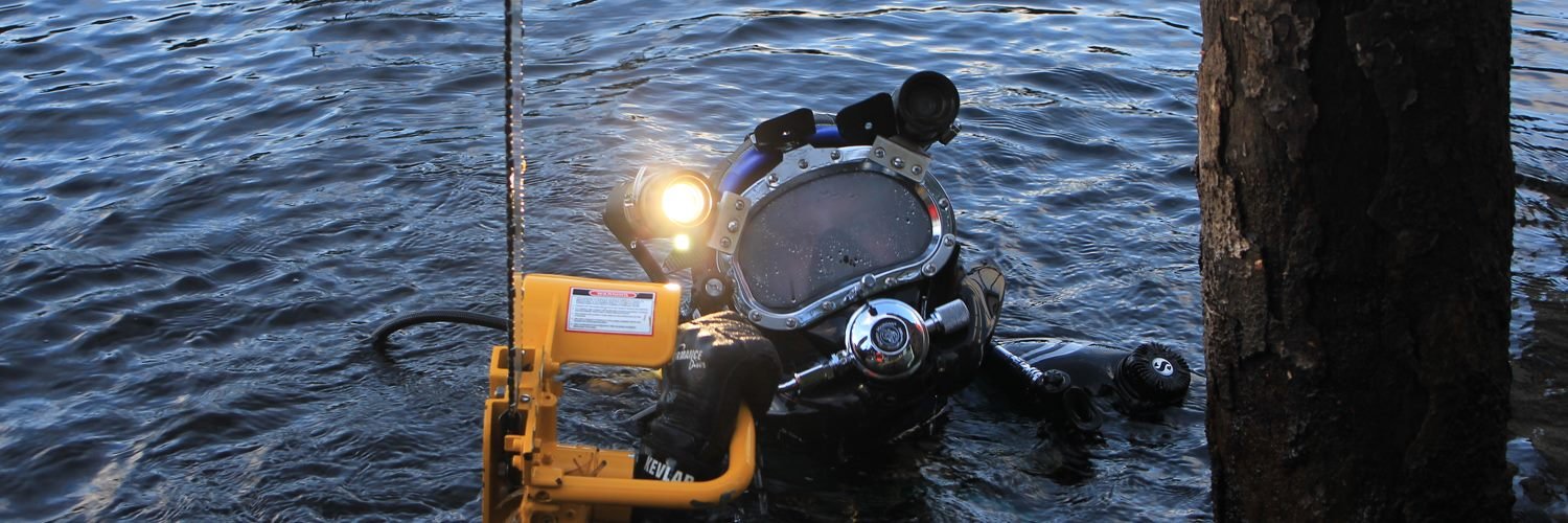 Diver at reservoir